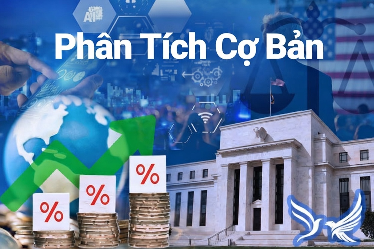 Cách Để Thực Hiện Đúng Phân Tích Cơ Bản