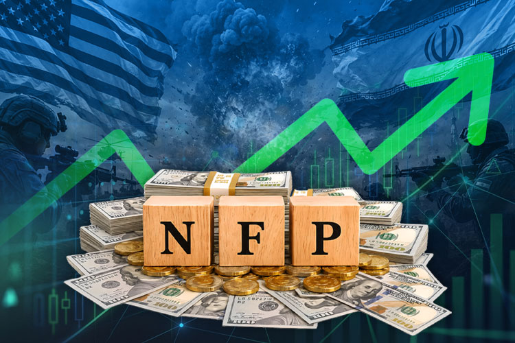 Dollar rises limited